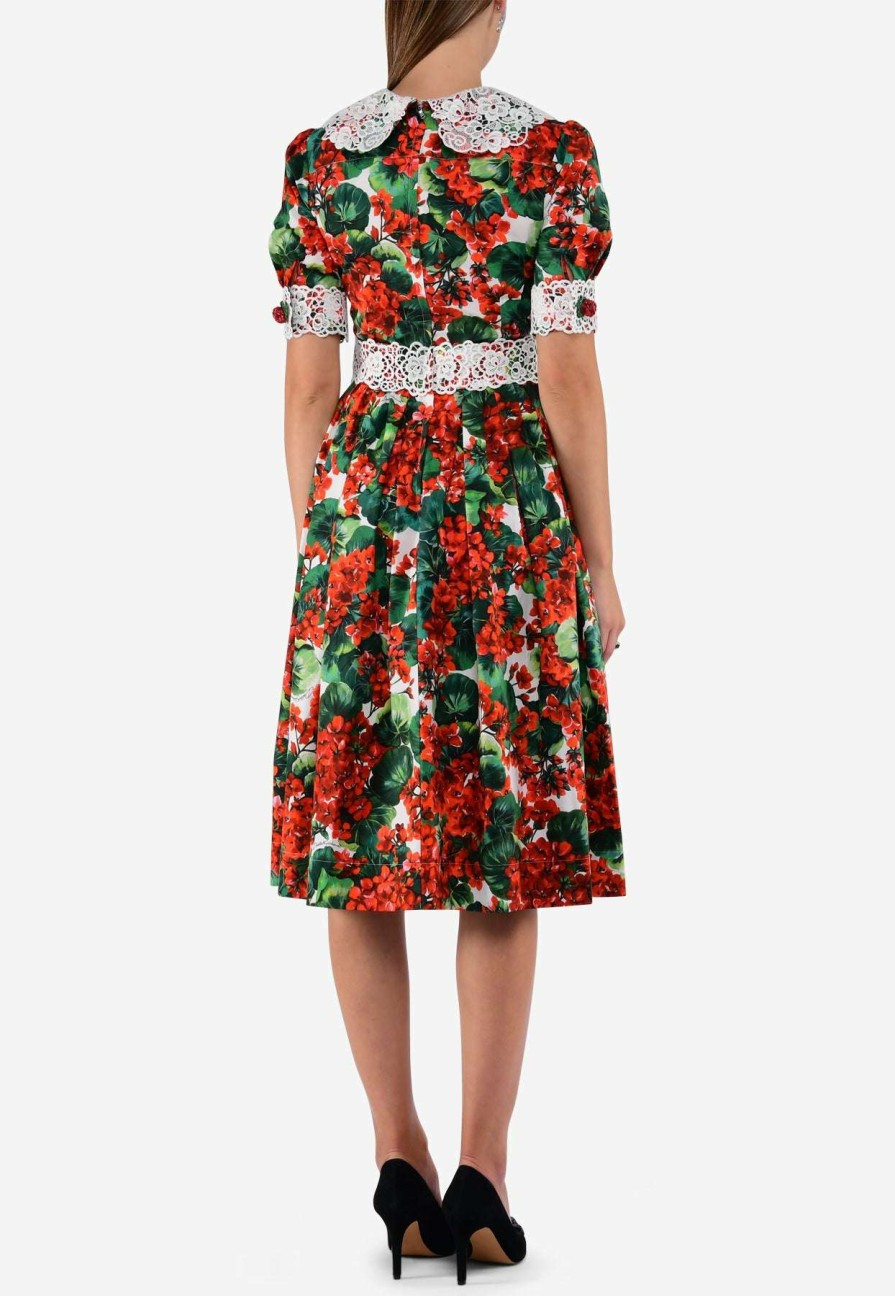 Dresses * | Dolce & Gabbana Portofino Floral Midi Dress Red