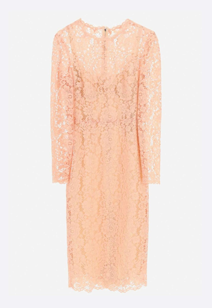 Evening * | Dolce & Gabbana Cordonetto Lace Midi Dress Pink