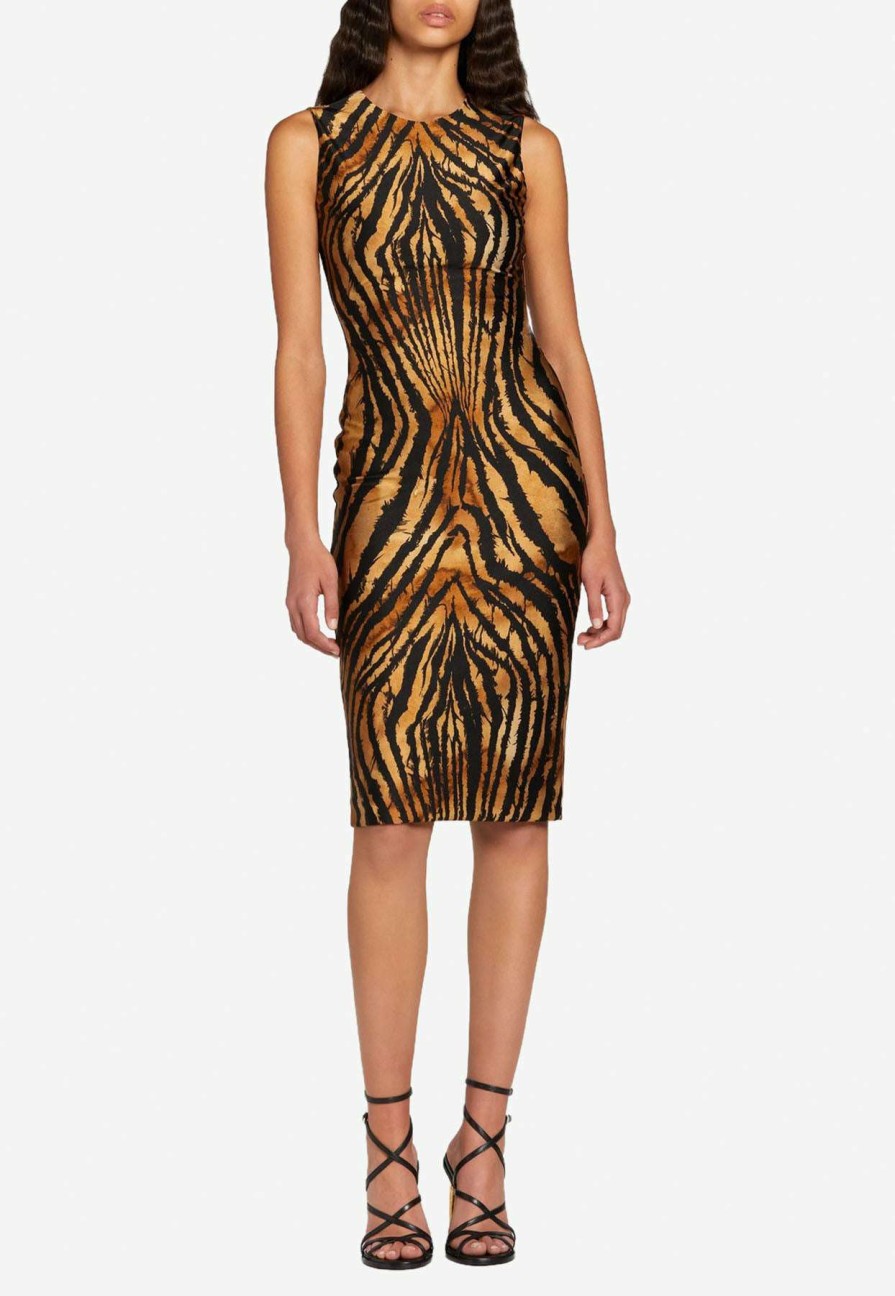 Dresses * | Roberto Cavalli Freedom Tiger Print Dress Brown